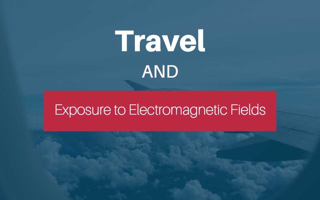 Travel and Exposure to Electromagnetic Fields
